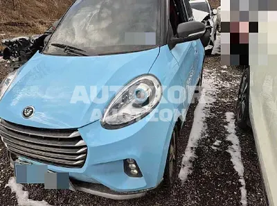 2020, Mercedes-Benz / Smart, electric, 100 куб.см.