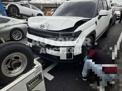 2024, Hyundai / Santa FE, hybrid