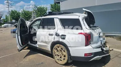 2021, Hyundai / Palisade, VIN: KMHR381ABMU273153, 48000 км., diesel, 2199 куб.см.