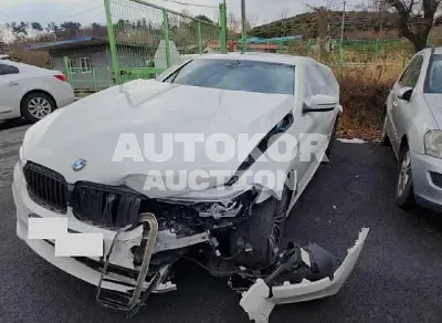 2020, BMW / 530, VIN: WBAJR510XLWW54945, gas