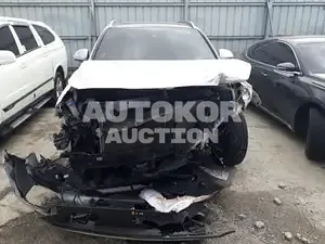 2019, Hyundai / Santa FE, VIN: KMHS581CDLU237680, diesel