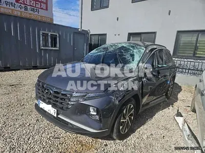 2023, Hyundai / Tucson, VIN: KMHJC81CBPU274406, 22250 км., diesel, 2000 куб.см.