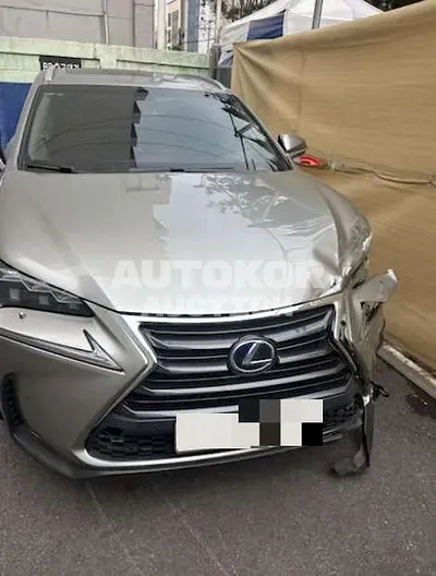2017, Lexus / NX 300, 89746 км., hybrid