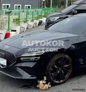 2020, Genesis / G70, VIN: KMTG641EBMU078619, gas