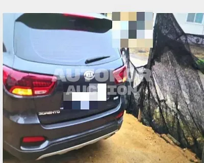 2018, Kia / Sorento, 71647 км., diesel, 1995 куб.см.