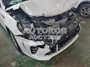 2016, Kia / K5, VIN: KNAGS416BGA105309, 133431 км., lpg
