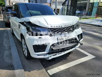 2019, Land Rover / Range Rover Sport, VIN: SALWA2BV2KA417153, 79018 км., gas