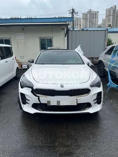 2017, Kia / Stinger, 37867 км., gas, 2000 куб.см.