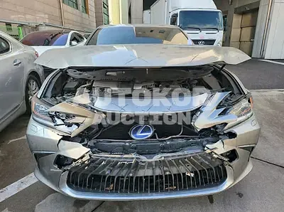 2019, Lexus / ES 300, VIN: JTHB21B12K2049785, hybrid