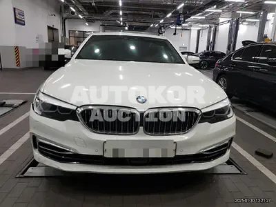 2019, BMW / 520, 54590 км., gas