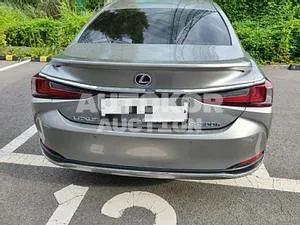 2019, Lexus / ES 300, VIN: JTHB21B10K2036582, 67000 км., gas