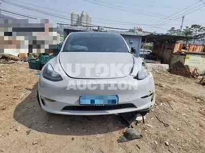 2022, Tesla / Model Y, electric