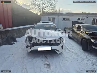 2020, Kia / K5, VIN: KNAG541JBLA009341, hybrid