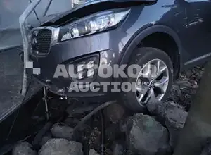 2015, Kia / Sorento, VIN: KNAPS81ABGA161473, 110000 км., diesel