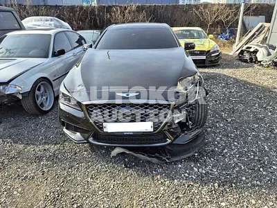 2019, Genesis / G80, VIN: KMHGR41BDKU318341, gas