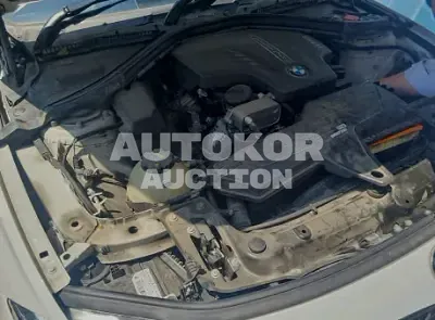 2017, BMW / 320, VIN: WBA8A9101HK883171, 79200 км., gas