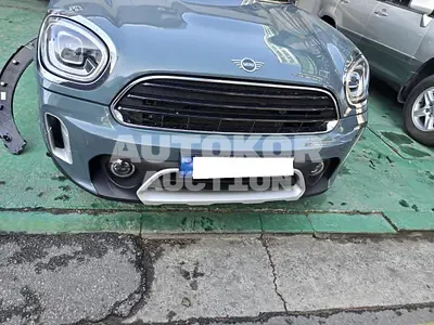 2021, MINI / Countryman, VIN: WMW31BR01M3N22520, gas
