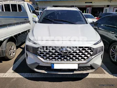 2021, Hyundai / Santa FE, VIN: KMHS381HGMU392204, diesel, 2200 куб.см.