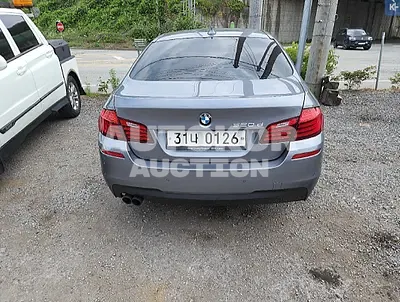 2017, BMW / 520, VIN: WBA5E5107GG208250, diesel, 1998 куб.см.