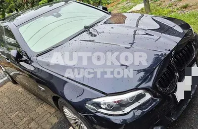 2014, BMW / 530, 231122 км., diesel, 2993 куб.см.