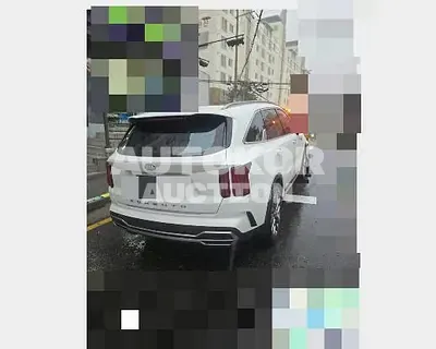 2020, Kia / Sorento, 24294 км., diesel, 2151 куб.см.