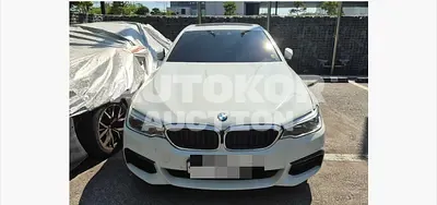 2017, BMW / 530, 89587 км., gas, 1998 куб.см.