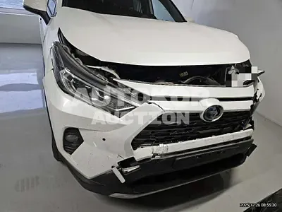 2019, Toyota / RAV4, 115176 км., hybrid