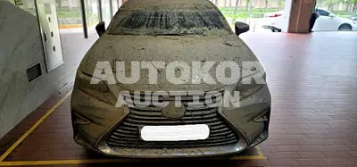 2017, Lexus / ES 300, VIN: JTHBW1GG4H2137148, 80727 км., gas