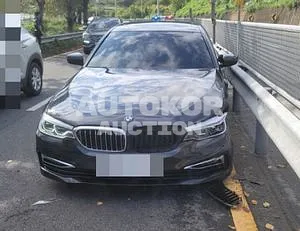 2019, BMW / 530, VIN: WBAJD3109KWW49852, gas