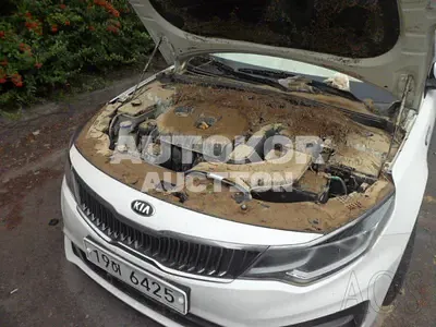 2019, Kia / K5, VIN: KNAGT411BLA370181, gas