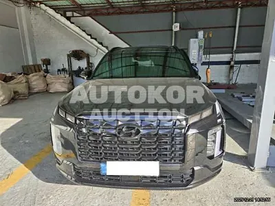 2024, Hyundai / Palisade, 25961 км., gas, 3800 куб.см.