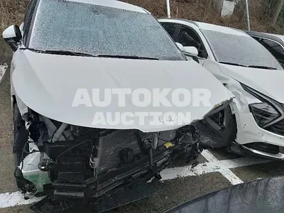2023, Kia / Carnival, VIN: KNANE81BBPS220161, diesel
