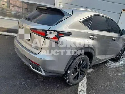 2017, Lexus / NX 300, hybrid, 2494 куб.см.