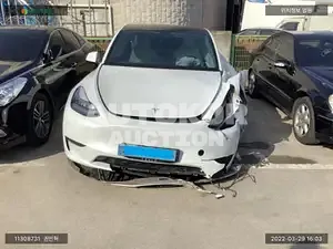 2021, Tesla / Model Y, VIN: 5YJYGDEE1MF167484, electric