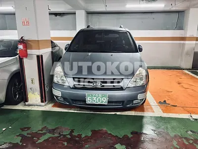 2026, Kia / Carnival, 206145 км., diesel