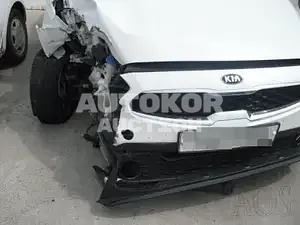 2019, BMW / Z1, VIN: KNAF241BEKA859722, gas