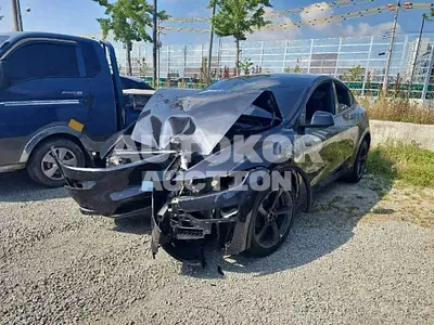 2026, Tesla / Model Y, 65000 км., electric