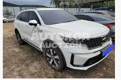 2022, Kia / Sorento, VIN: KNARH81BHNA169350, diesel
