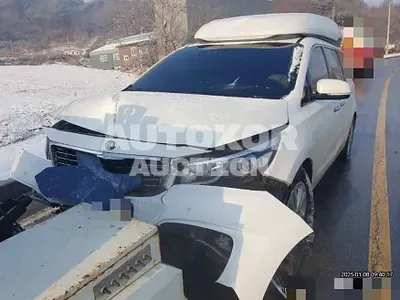 2016, Kia / Carnival, diesel