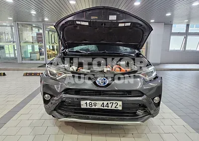 2017, Toyota / RAV4, VIN: JTMDJREV4HD117950, 40170 км., hybrid