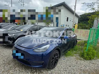 2021, Tesla / Model Y, 178432 км., electric, 1999 куб.см.