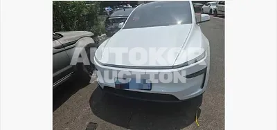 2026, Tesla / Model Y, 100 км., electric, 239 куб.см.