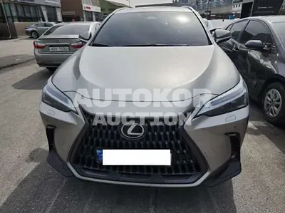 2026, Lexus / nx350h, 3110 км., hybrid