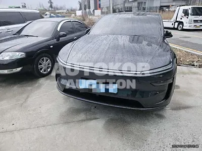 2026, Tesla / Model Y, 4000 км., electric