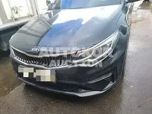 2019, Kia / K5, VIN: KNAGT411BLA379134, 41284 км., gas