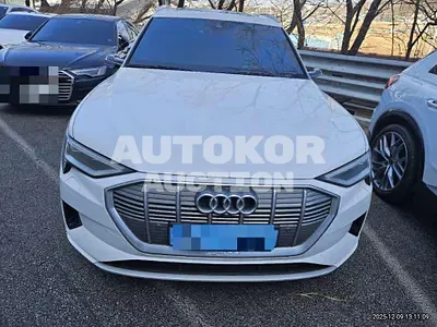 2020, Audi / e-tron, 82000 км., electric