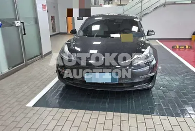 2021, Tesla / Model 3, 64788 км., electric, 213 куб.см.