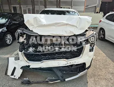2024, Kia / Sorento, VIN: KNARG81GDRA252880, hybrid