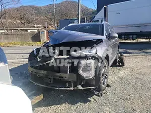 2018, Hyundai / Santa FE, VIN: KMHS381BBKU018159, diesel