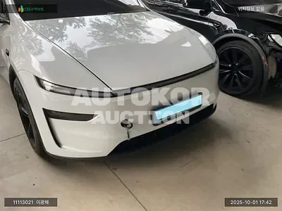 2025, Tesla / Model Y, VIN: LRWYGCFJ7SC106010, electric, 1 куб.см.